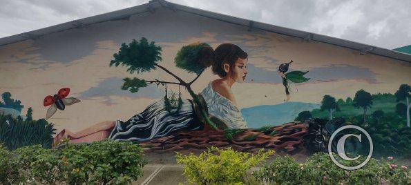 Mural on Machinatza near Armando Arias (4)