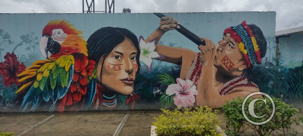 Mural on Machinatza near Armando Arias (6)