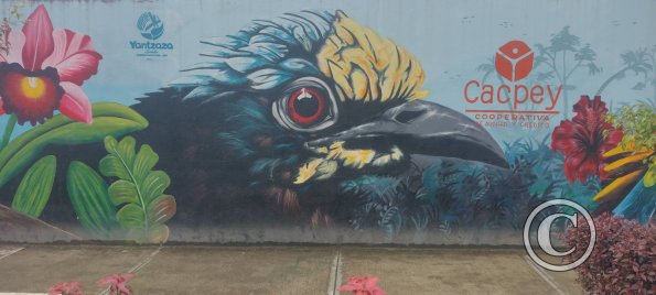 Mural on Machinatza near Armando Arias (7)
