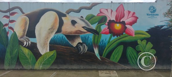 Mural on Machinatza near Armando Arias (8)
