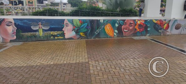 Murals in Parque Central