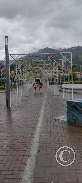 Parque Central (2)