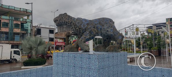 Parque Central (3)