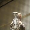 IMG_1079
