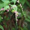 IMG_1269