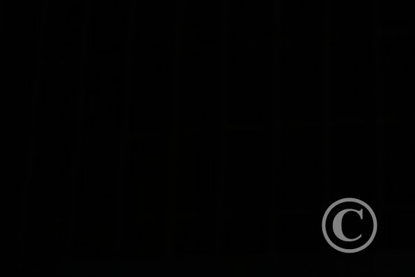 17901463225