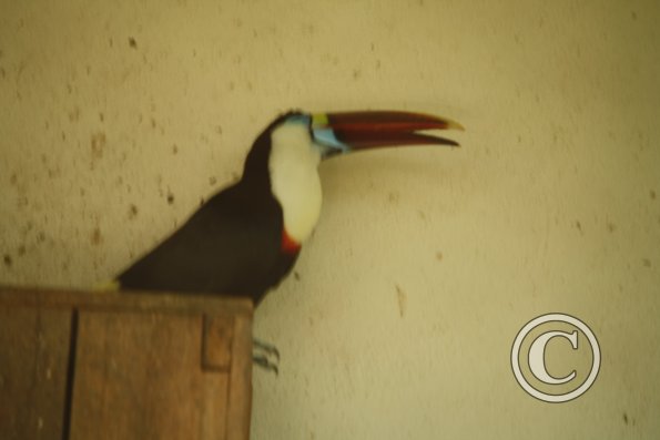 203_17884751006_o