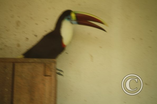 206_17911758741_o