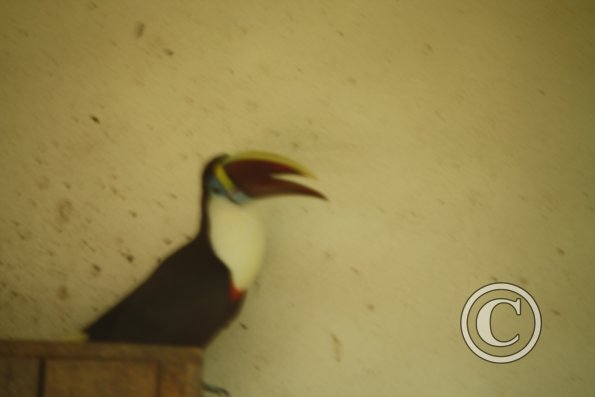 208_17723648550_o