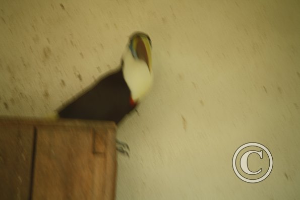 211_17911295725_o