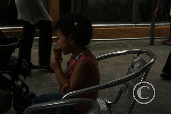 287_17913235735_o