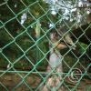 img_0994_17901883735_o