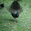 img_1015_17902606115_o