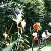 img_1020_17715161280_o