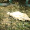 img_1046_17878118806_o