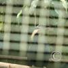 img_1052_17910101961_o