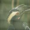 img_1053_17721703258_o