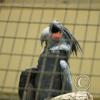 img_1095_17724028849_o
