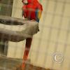img_1101_17722607378_o
