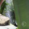 img_1194_17886243306_o