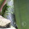 img_1195_17886316286_o