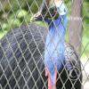 img_1201_17913502331_o