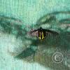 img_1257_17293878693_o