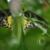 img_1282_17911948712_o