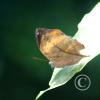 img_1291_17294727483_o