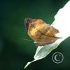 img_1292_17915796761_o