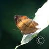 img_1294_17912209562_o