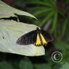 img_1313_17727801548_o