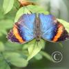 img_1314_17916244731_o