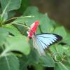 img_1325_17729657249_o