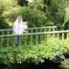 img_1326_17889552206_o