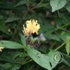 img_1328_17889592976_o