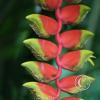 img_1336_17913092492_o