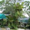 img_1392_17914558396_o