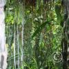413_17293657904_o