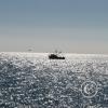 img_2452_17075972233_o
