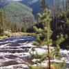 yellowstone3