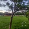 IMG_20230427_162257484_HDR