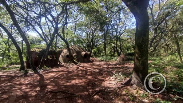 IMG_20230428_105719593_HDR