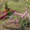 IMG_20230629_131554369_HDR