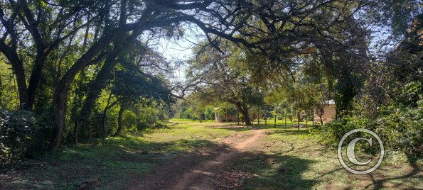 IMG_20230630_110706415_HDR