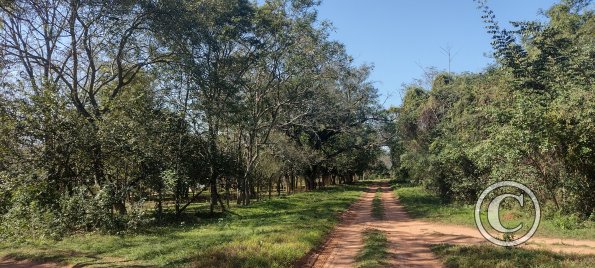 IMG_20230630_110907232_HDR