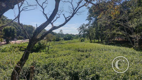 IMG_20230510_113707815_HDR