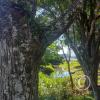 IMG_20230510_114043624_HDR
