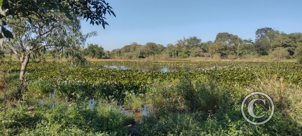 IMG_20230703_111209479_HDR