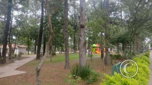 IMG_20230505_164133052